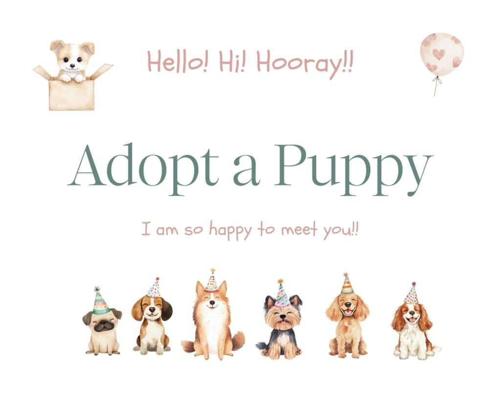 adopt a puppy party