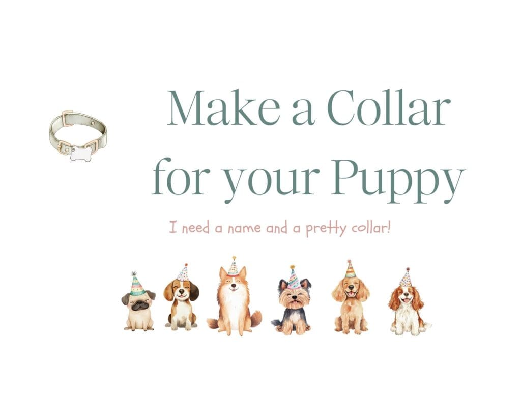 adopt a puppy party