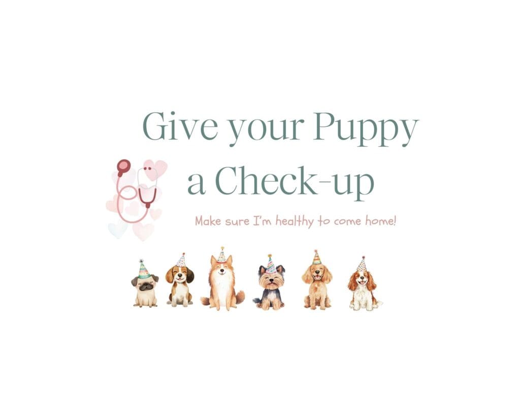 adopt a puppy party