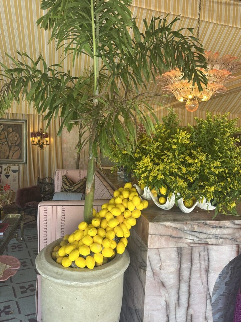 kips bay showhouse palm beach