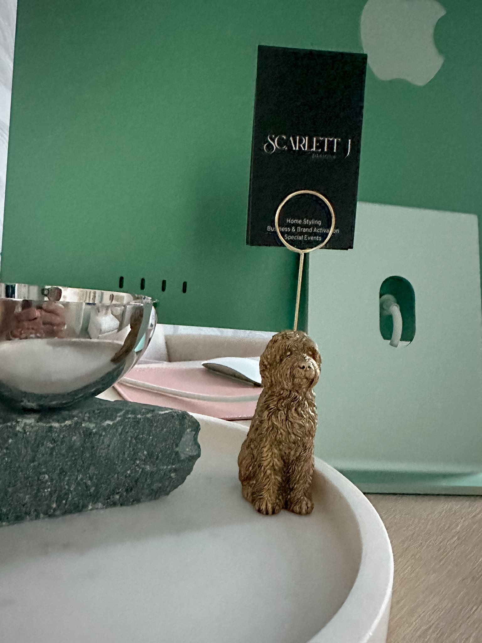 Anthropology Goldendoodle