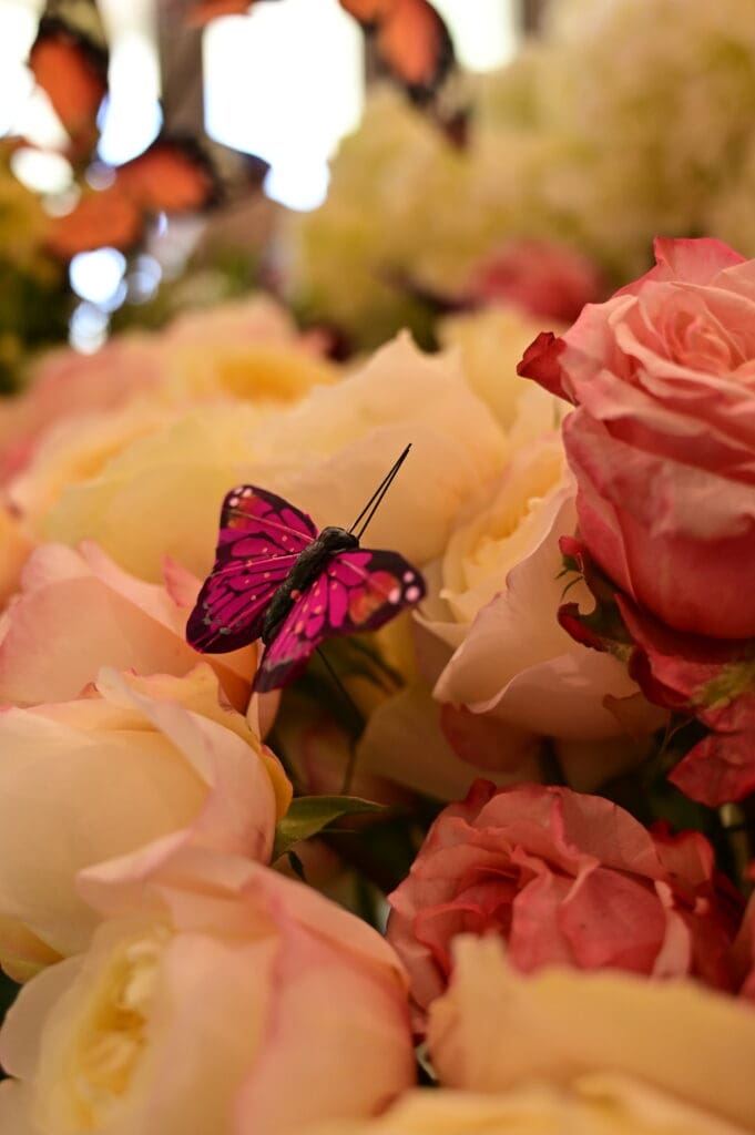 live butterfly release at the St Regis Longboat Key by Scarlett J Designs
