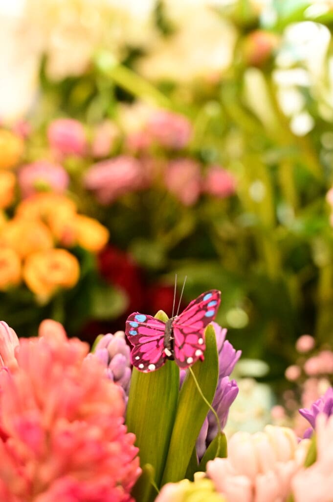 live butterfly release at the St Regis Longboat Key by Scarlett J Designs